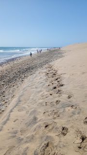 GC-Playa de Maspalomas 2026-129.jpg